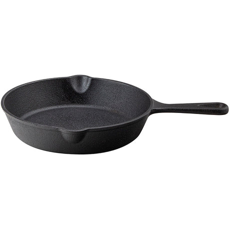 Anders Petter Stenfors Stekpanna öglehandtag 20 cm Gjutjärn