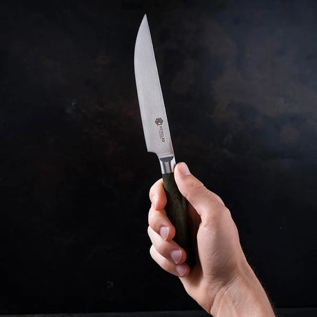 Hexclad Hybrid stekkniv set 4 delar silver/skogsgrön