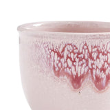 Portmeirion Minerals mugg 30 cl 4-pack, rose quartz