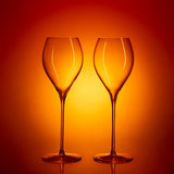 Stiernholm Elegance Champagneglas 2-pack 29 cl